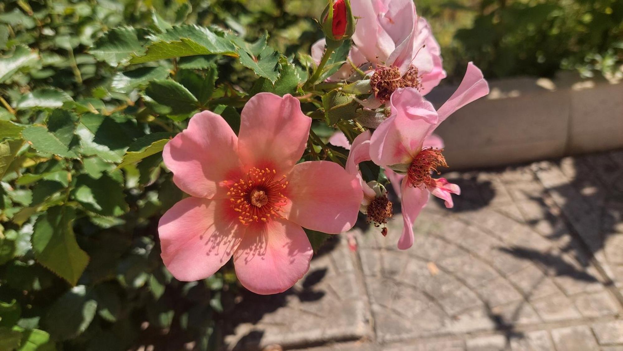 Bo'S Place 산콘스탄틴앤헬레나 외부 사진