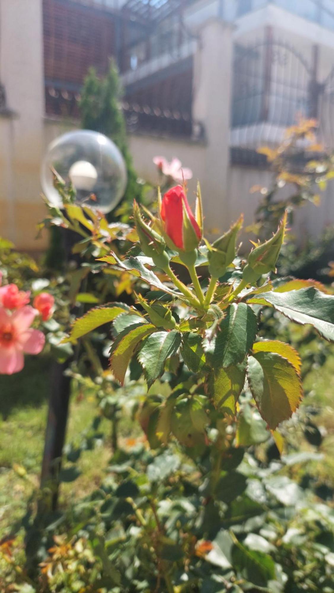 Bo'S Place 산콘스탄틴앤헬레나 외부 사진